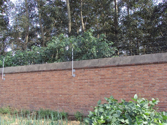 5c510fac818c7.jpg 00454.jpg